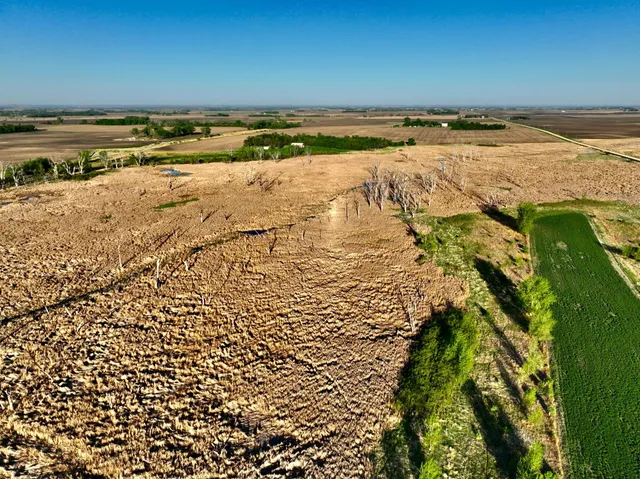 $549,000 | 2200 216th Street, Madison, MN 56256