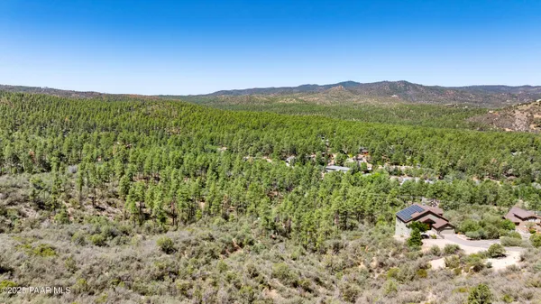 a view of a lush green forest with a mountain in the background