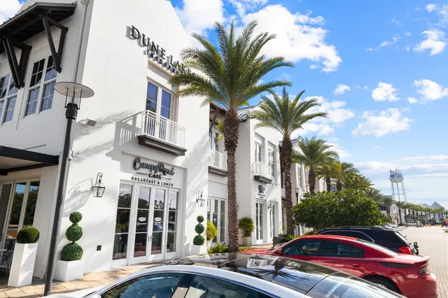 a view of a park with palm trees