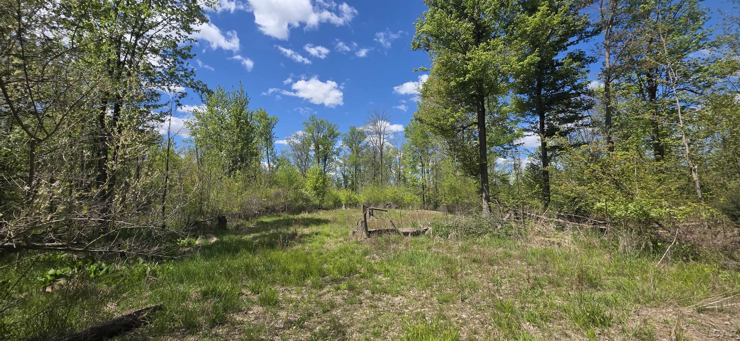 15252 27 Mile Road Albion, MI 49224 - Photo 20 of 57