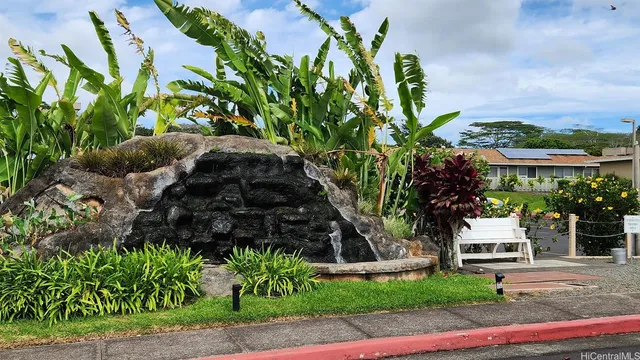a view of a garden with plants