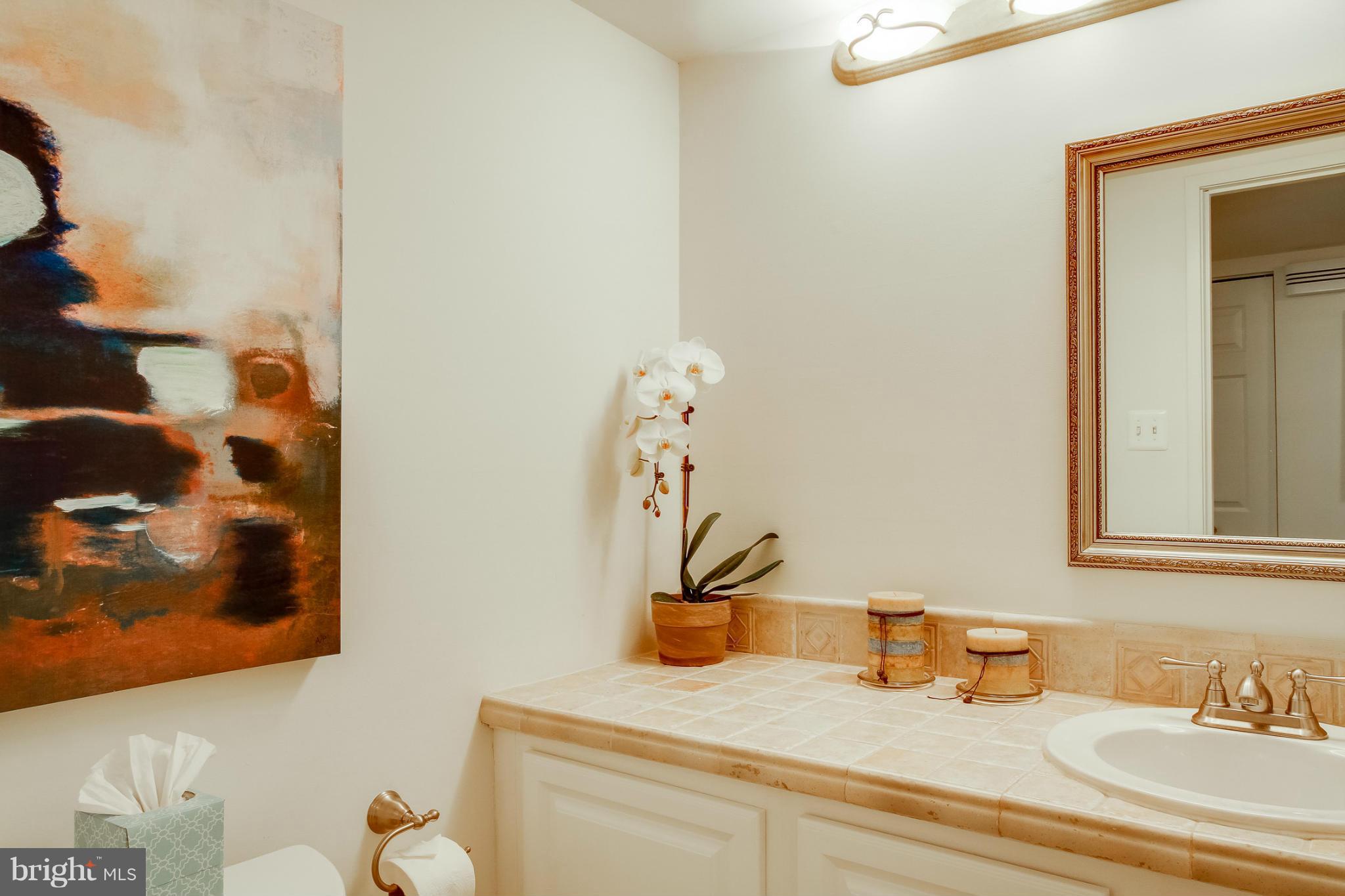 11729 Indian Ridge Road Reston, VA 20191 - Photo 13 of 30 a bathroom with a sink and a mirror