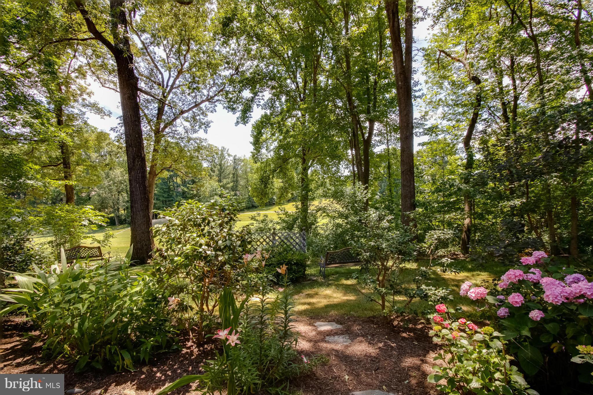 11729 Indian Ridge Road Reston, VA 20191 - Photo 28 of 30 a picture of street