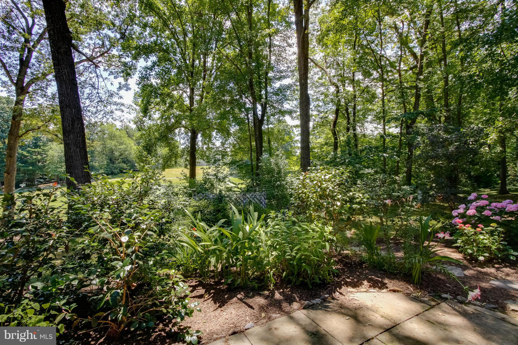 11729 Indian Ridge Road Reston, VA 20191 - Photo 29 of 30 a backyard of a house with lots of green space