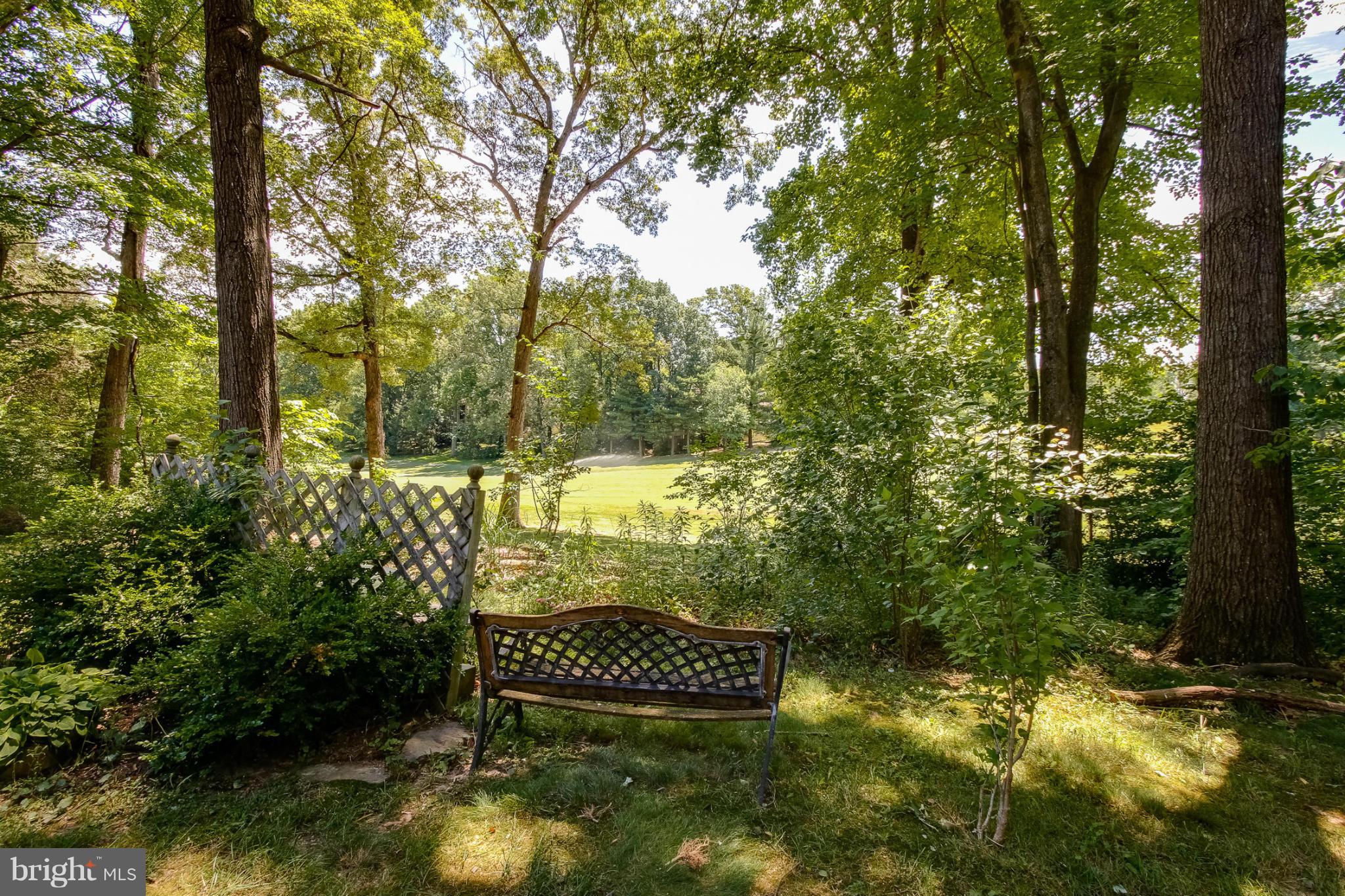 11729 Indian Ridge Road Reston, VA 20191 - Photo 30 of 30 a view of a park with large trees