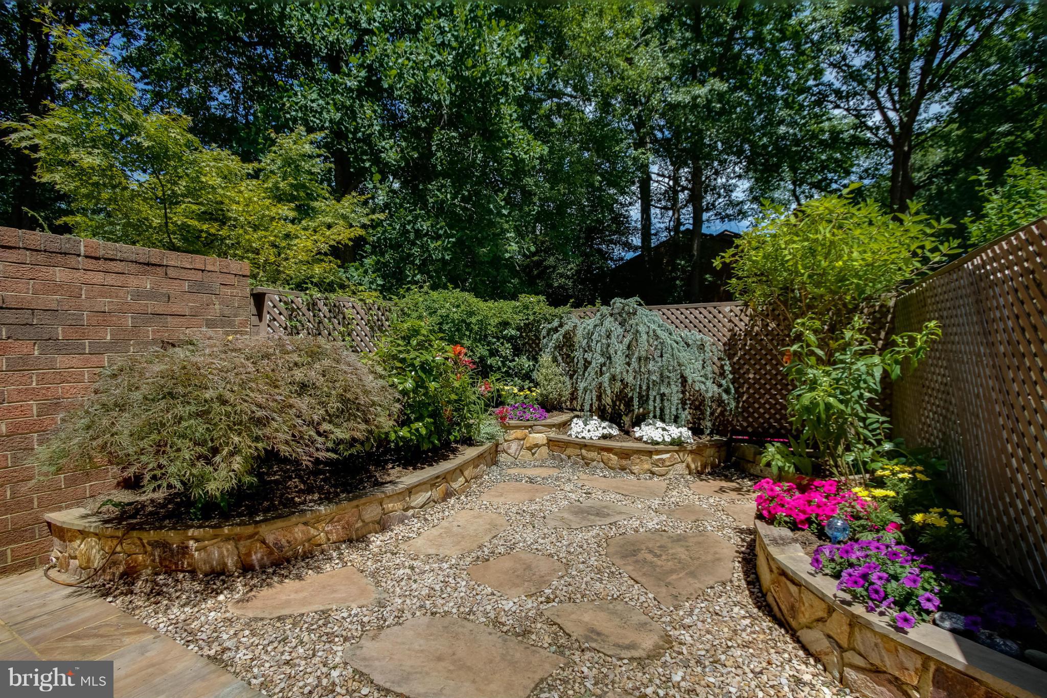 11729 Indian Ridge Road Reston, VA 20191 - Photo 6 of 30 a view of a bunch of flowers