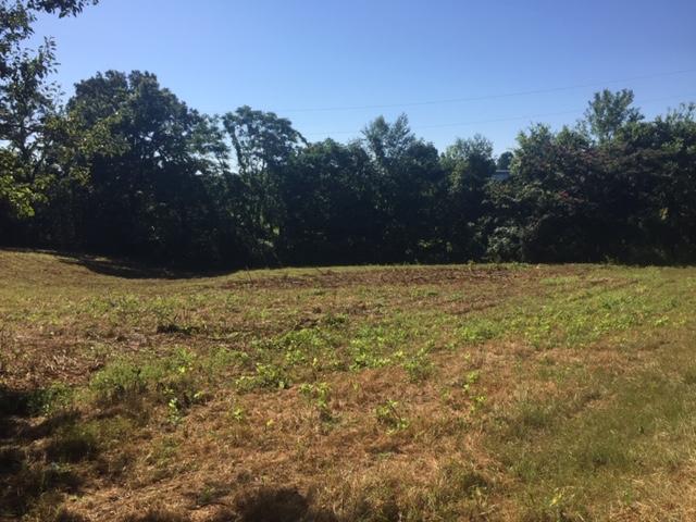 8312 Conner Road Powell, TN 37849 - Photo 3 of 27 IMG_5756