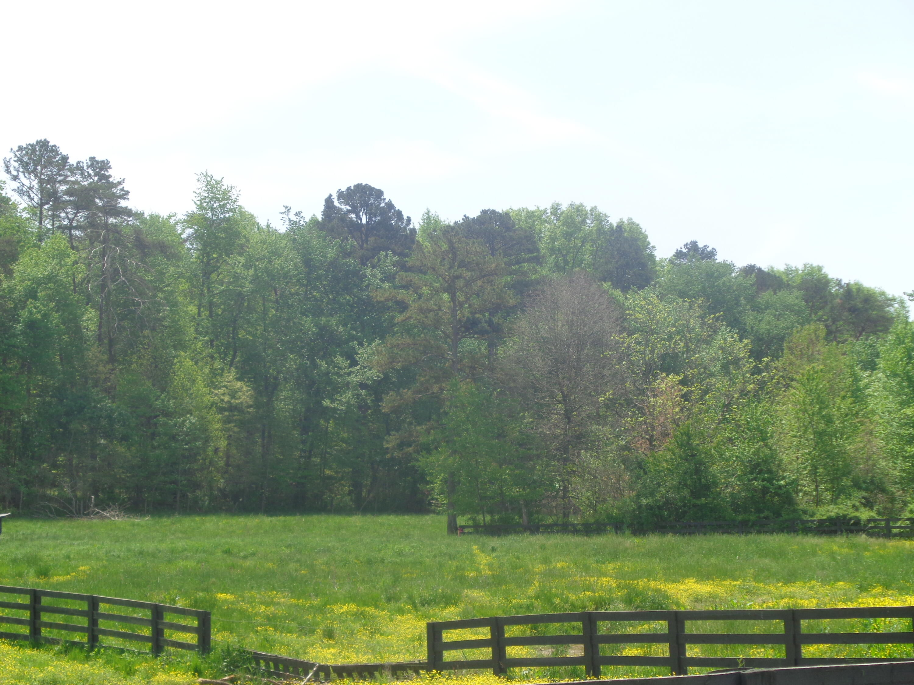 5401 Slate Lick Road London, KY 40741 - Photo 3 of 11 DSC08474
