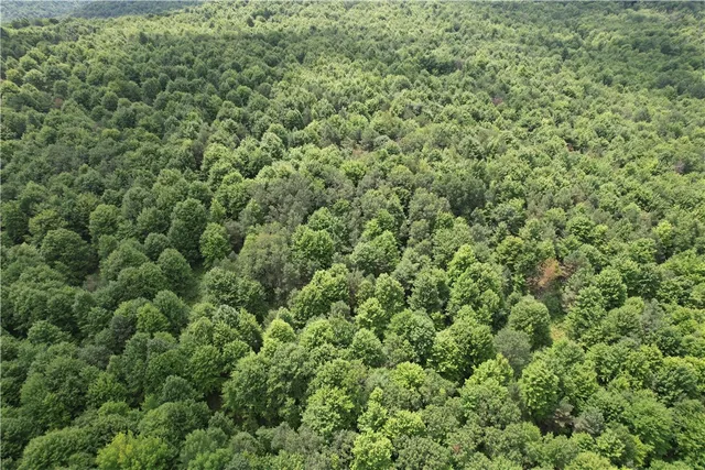 $109,900 | -held #13 Held Road, Erin, NY 14838