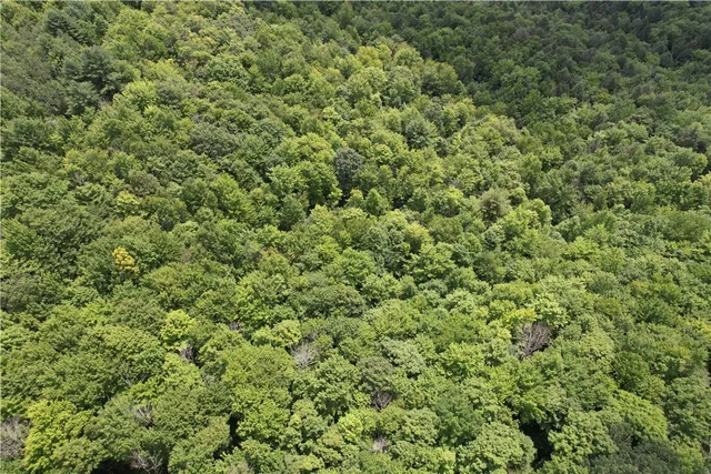 $109,900 | -held #13 Held Road, Erin, NY 14838