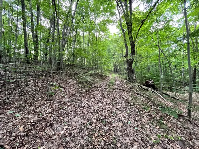 $109,900 | -held #13 Held Road, Erin, NY 14838