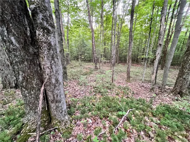 $109,900 | -held #13 Held Road, Erin, NY 14838