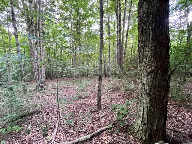 $109,900 | -held #13 Held Road, Erin, NY 14838