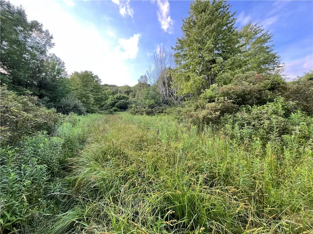 $109,900 | -held #13 Held Road, Erin, NY 14838