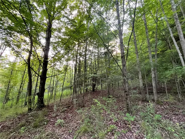 $109,900 | -held #13 Held Road, Erin, NY 14838