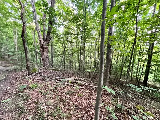 $109,900 | -held #13 Held Road, Erin, NY 14838