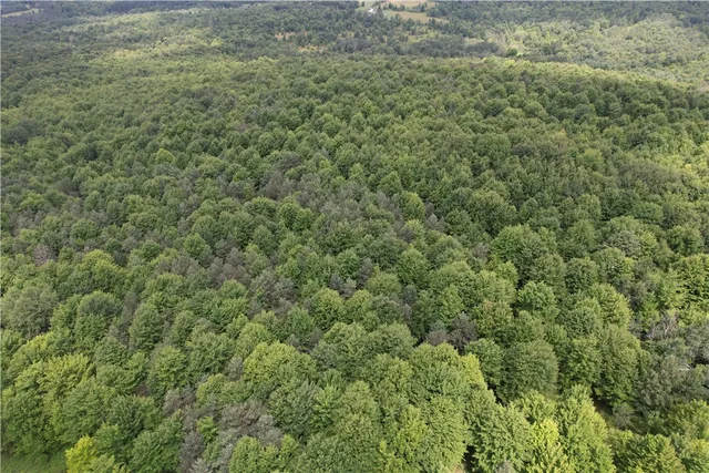 $109,900 | -held #13 Held Road, Erin, NY 14838