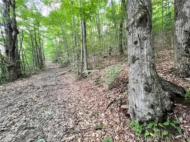 $109,900 | -held #13 Held Road, Erin, NY 14838