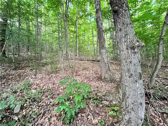 $109,900 | -held #13 Held Road, Erin, NY 14838