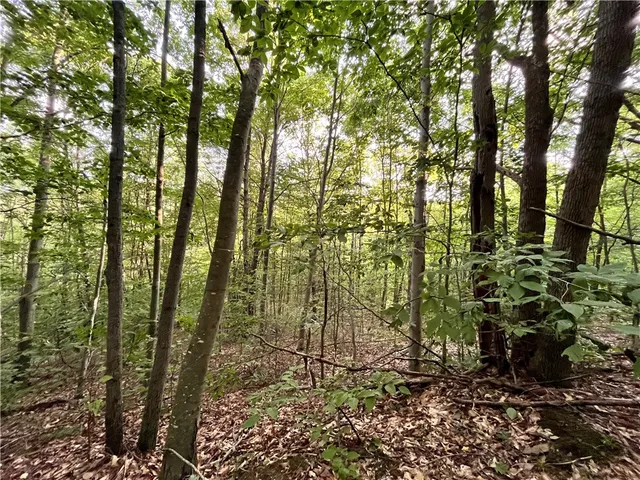 $109,900 | -held #13 Held Road, Erin, NY 14838