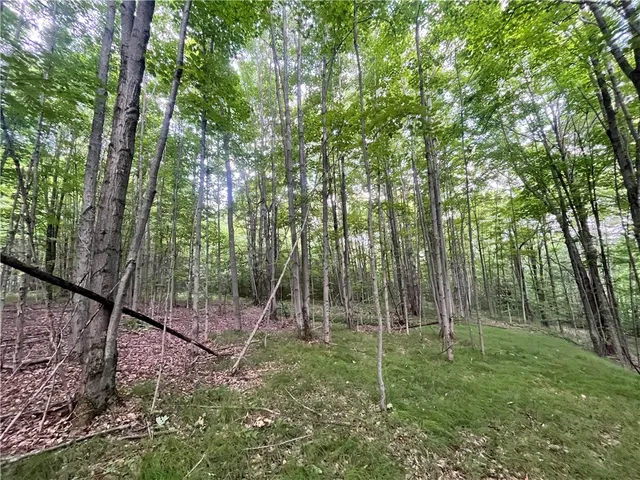 $109,900 | -held #13 Held Road, Erin, NY 14838