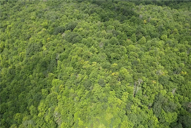 $109,900 | -held #13 Held Road, Erin, NY 14838