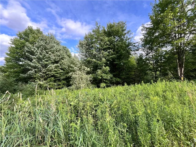 $109,900 | -held #13 Held Road, Erin, NY 14838