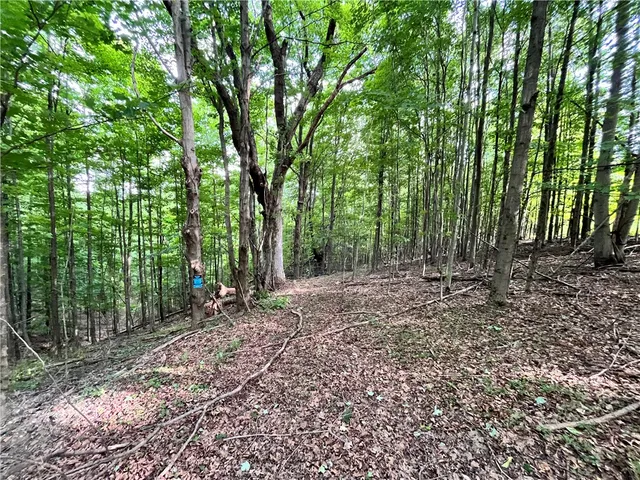 $109,900 | -held #13 Held Road, Erin, NY 14838