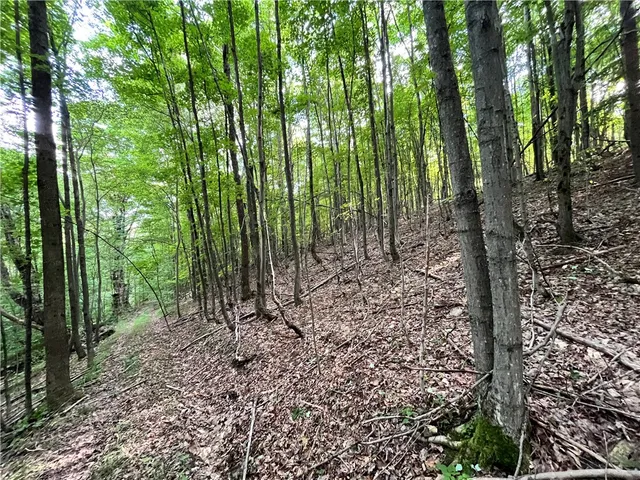 $109,900 | -held #13 Held Road, Erin, NY 14838