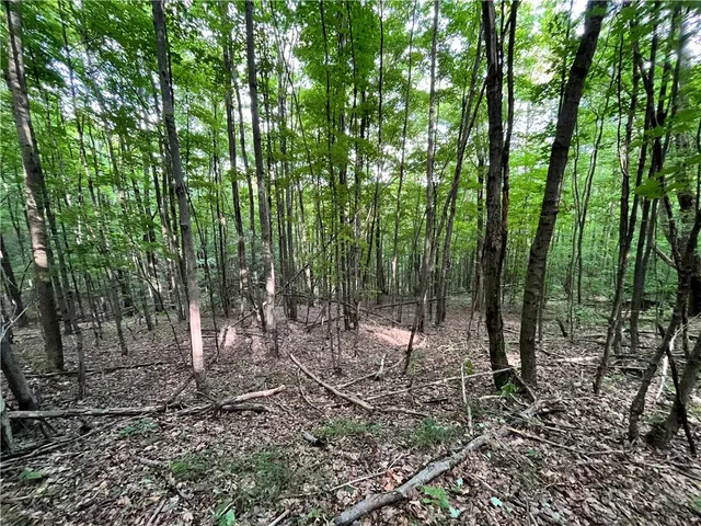 $109,900 | -held #13 Held Road, Erin, NY 14838