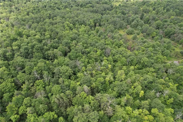 $109,900 | -held #13 Held Road, Erin, NY 14838