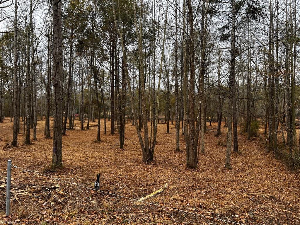 Lot 154 Lookout Dam Road Statesville, NC 28625 - Photo 4 of 7