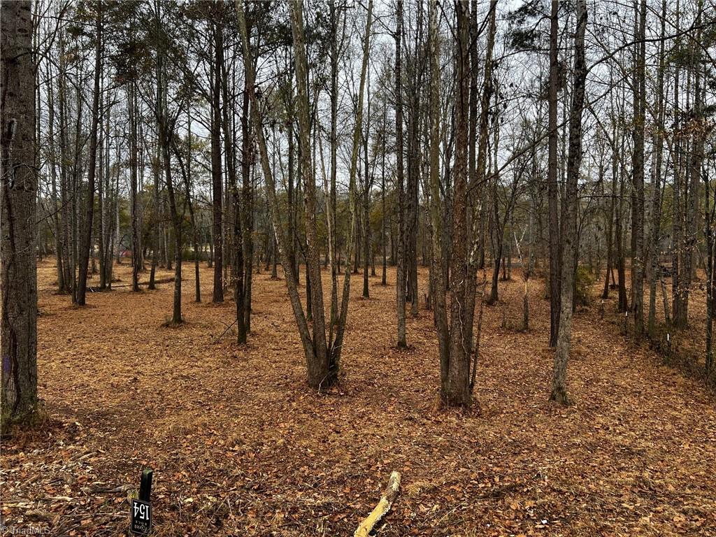 Lot 154 Lookout Dam Road Statesville, NC 28625 - Photo 5 of 7