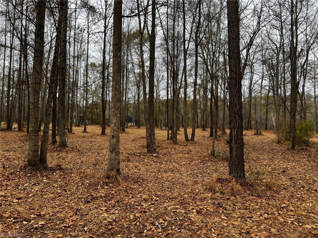 Lot 154 Lookout Dam Road Statesville, NC 28625 - Photo 6 of 7