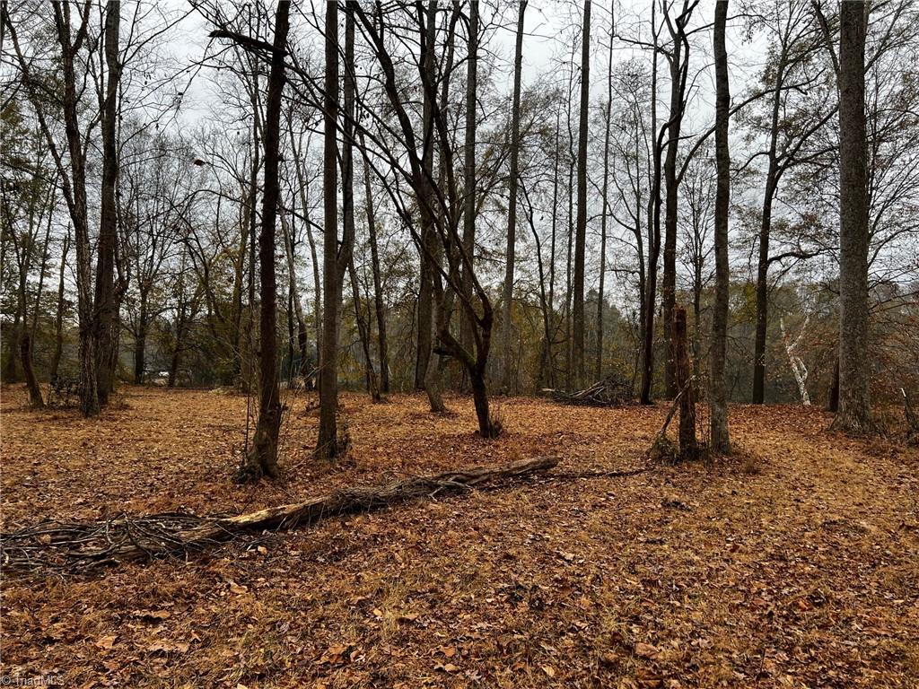 Lot 154 Lookout Dam Road Statesville, NC 28625 - Photo 7 of 7