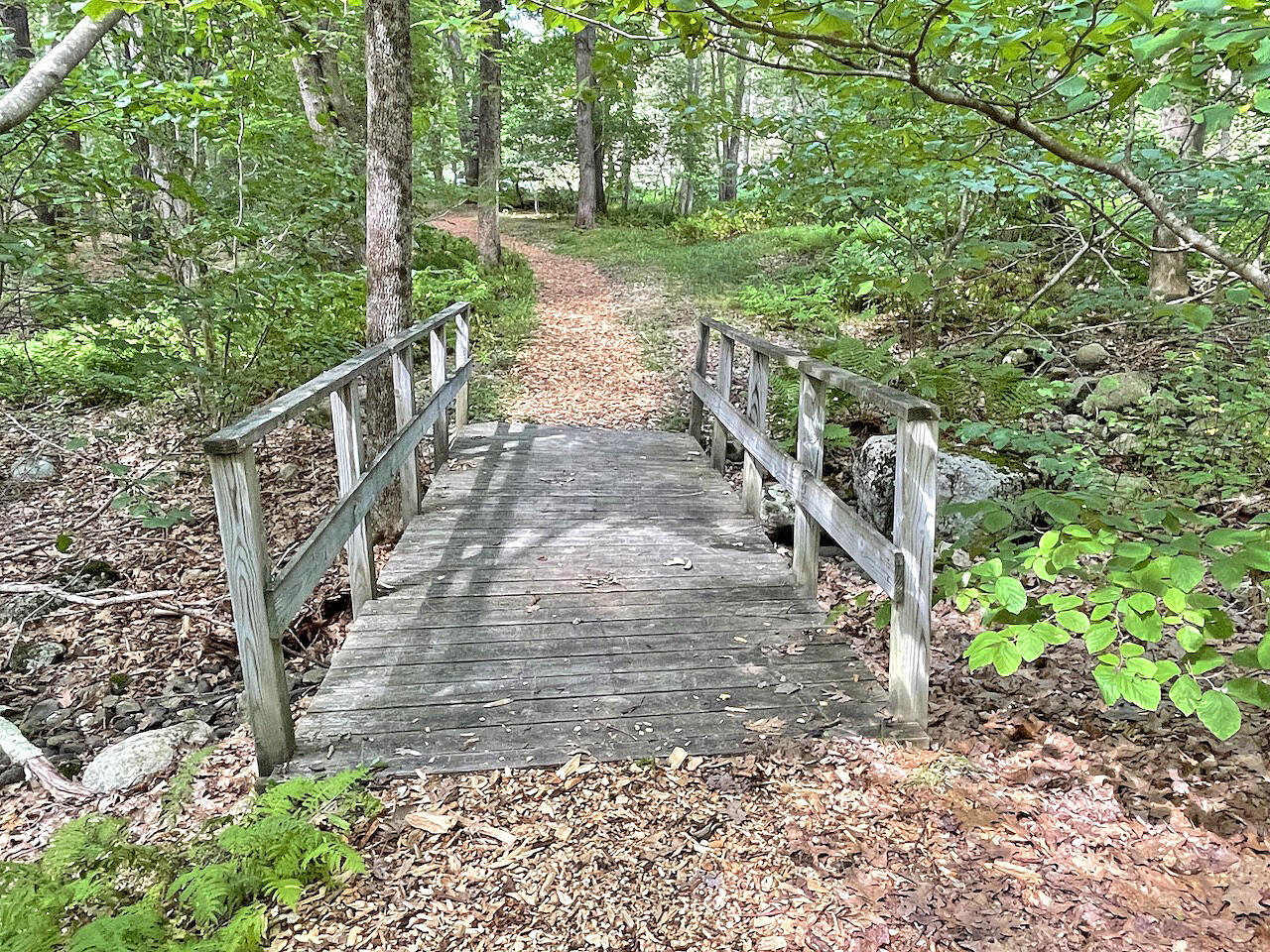 18 Meadow Road Arrowsic, ME 04530 - Photo 42 of 49 Woodland Path to Dock 2
