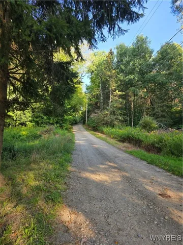 $39,900 | 3196 A Syler Road, Orangeville, NY 14167