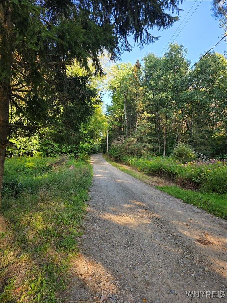 3196 A Syler Road Orangeville, NY 14167 - Photo 11 of 14