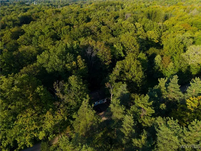 $39,900 | 3196 A Syler Road, Orangeville, NY 14167