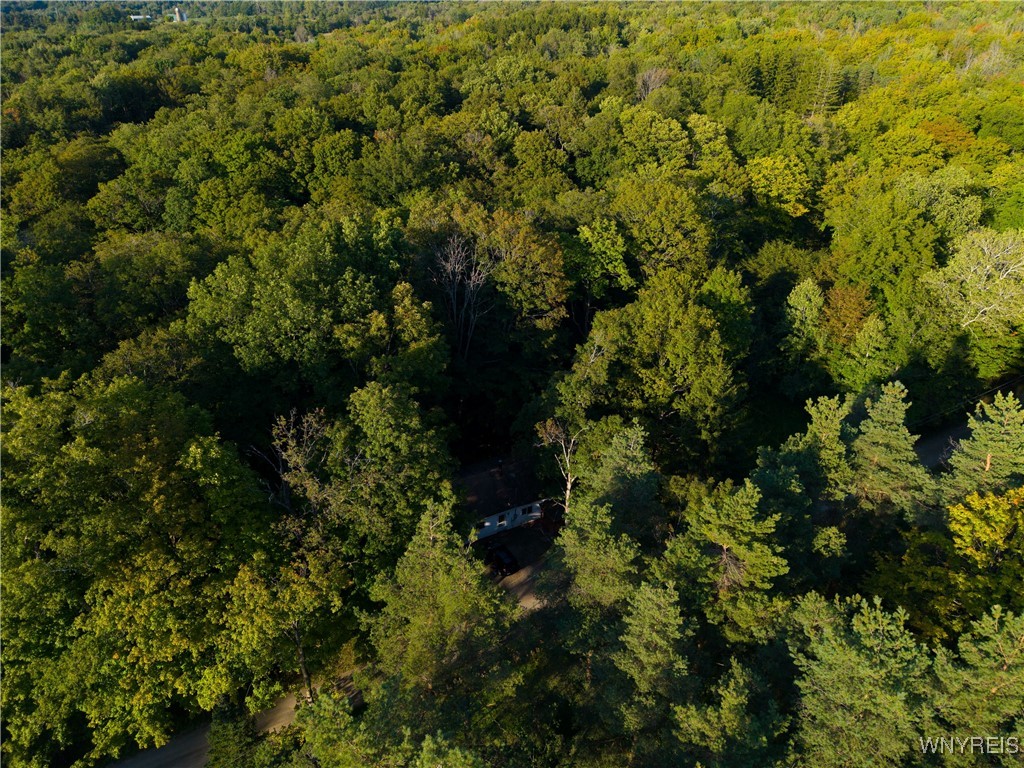 3196 A Syler Road Orangeville, NY 14167 - Photo 12 of 14