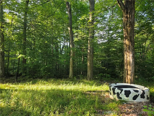 $39,900 | 3196 A Syler Road, Orangeville, NY 14167