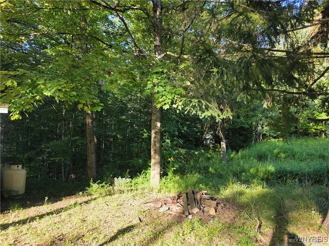 $39,900 | 3196 A Syler Road, Orangeville, NY 14167