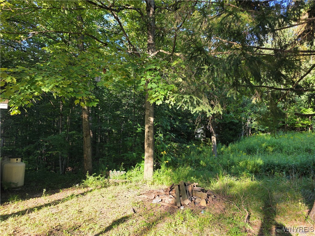 3196 A Syler Road Orangeville, NY 14167 - Photo 10 of 14