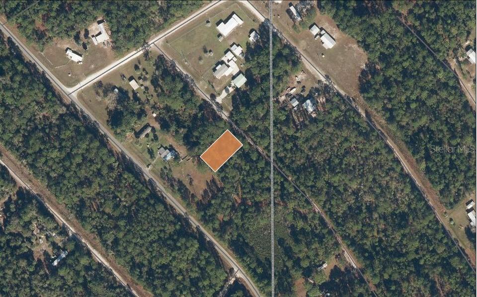 147 Roebuck Road Georgetown, FL 32139 - Photo 12 of 12