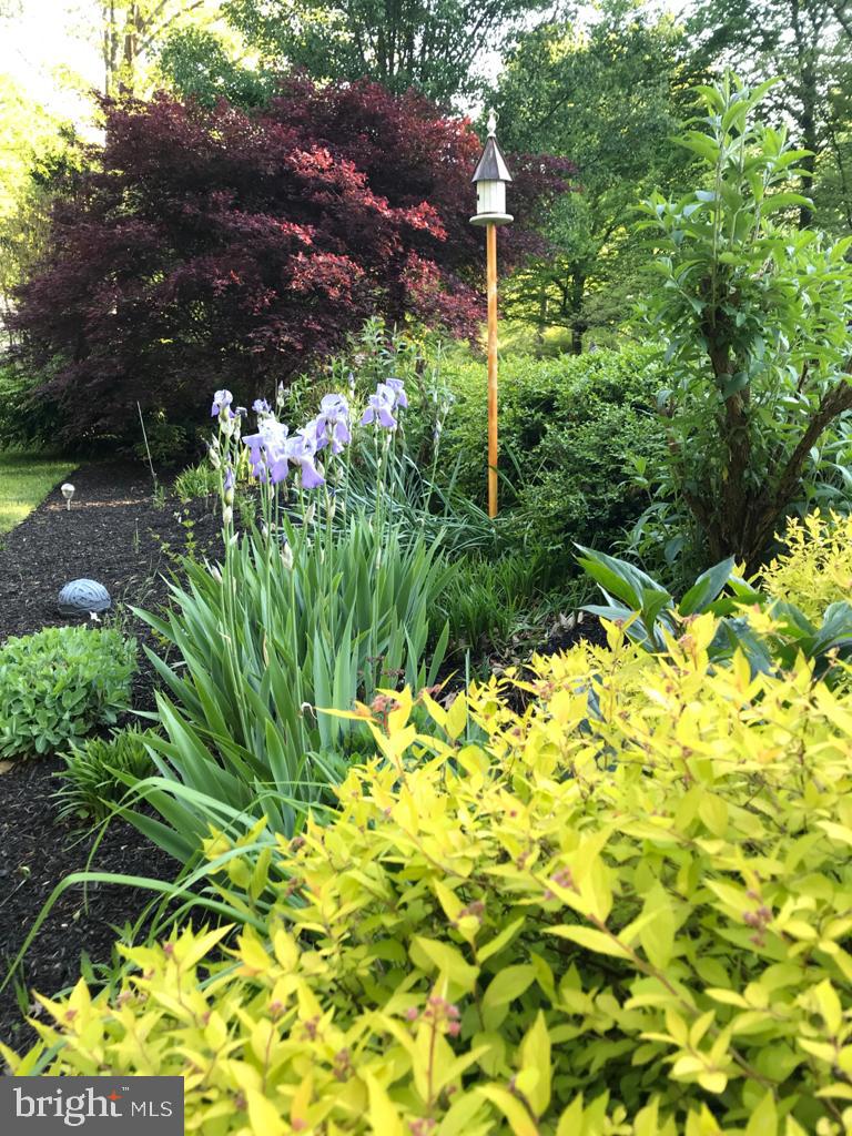 11946 Appling Valley Road Fairfax, VA 22030 - Photo 55 of 58 Colorful flowers and shrubs