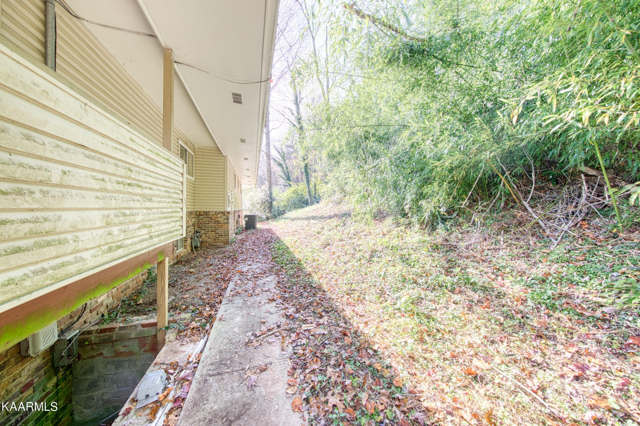 100 Windham Road Oak Ridge, TN 37830 - Photo 27 of 27 a view of a backyard with large trees