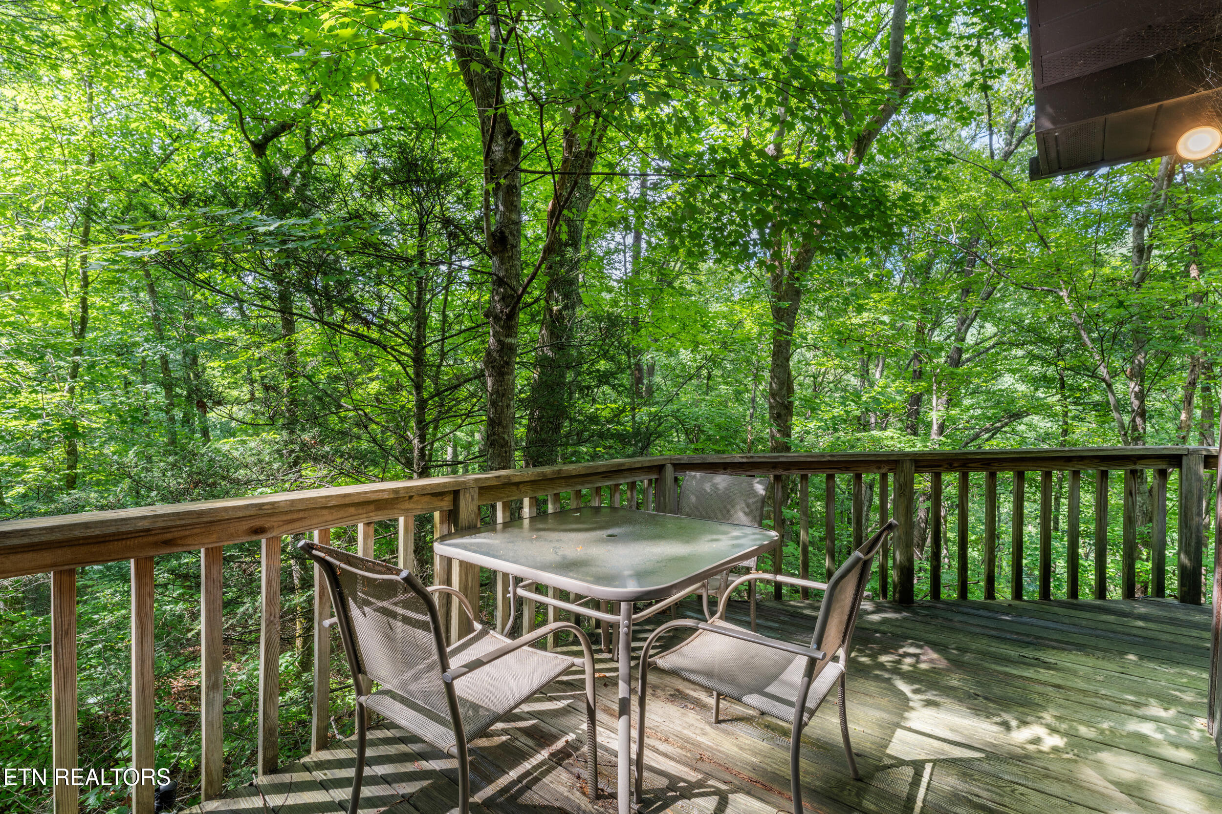 1941 Anderson Way Sevierville, TN 37876 - Photo 29 of 37 1941 anderson way-29