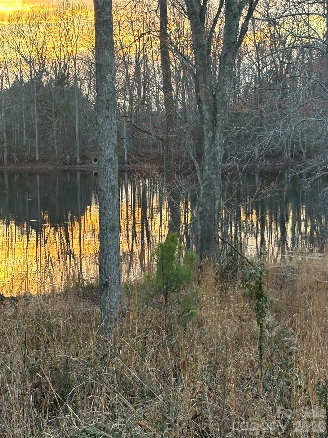 560 Fayette Road York, SC 29745 - Photo 16 of 17 a view of backyard with plants and lake view