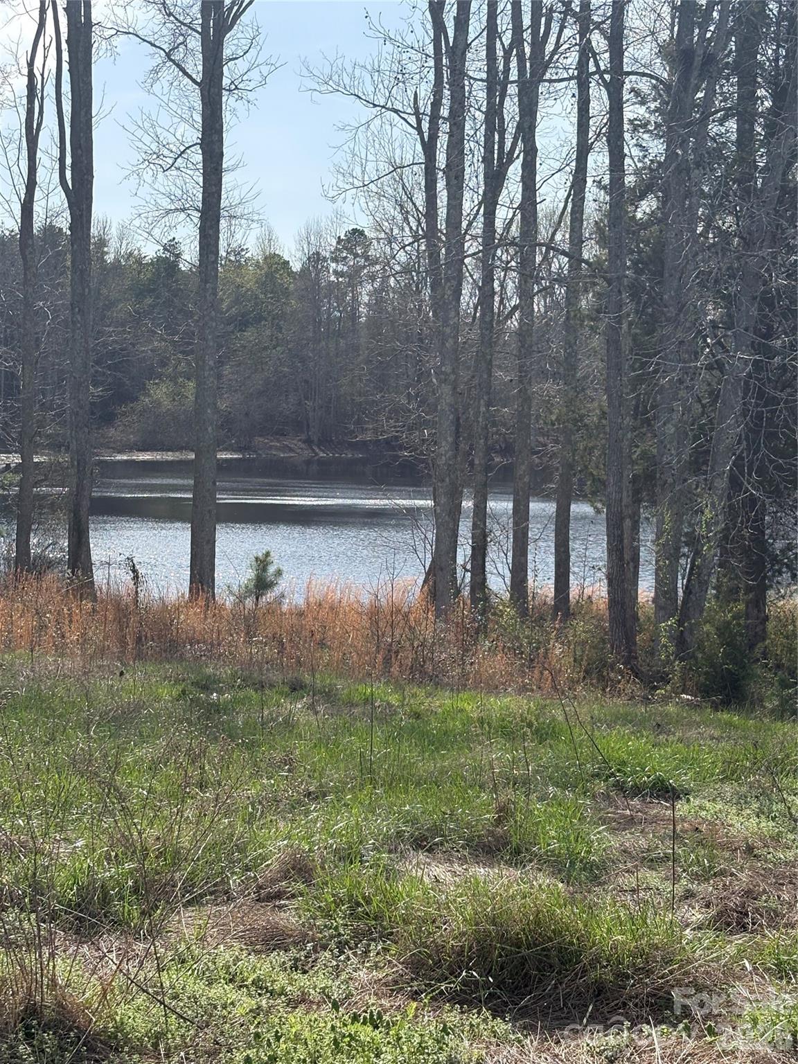 560 Fayette Road York, SC 29745 - Photo 5 of 17 a view of backyard with green space