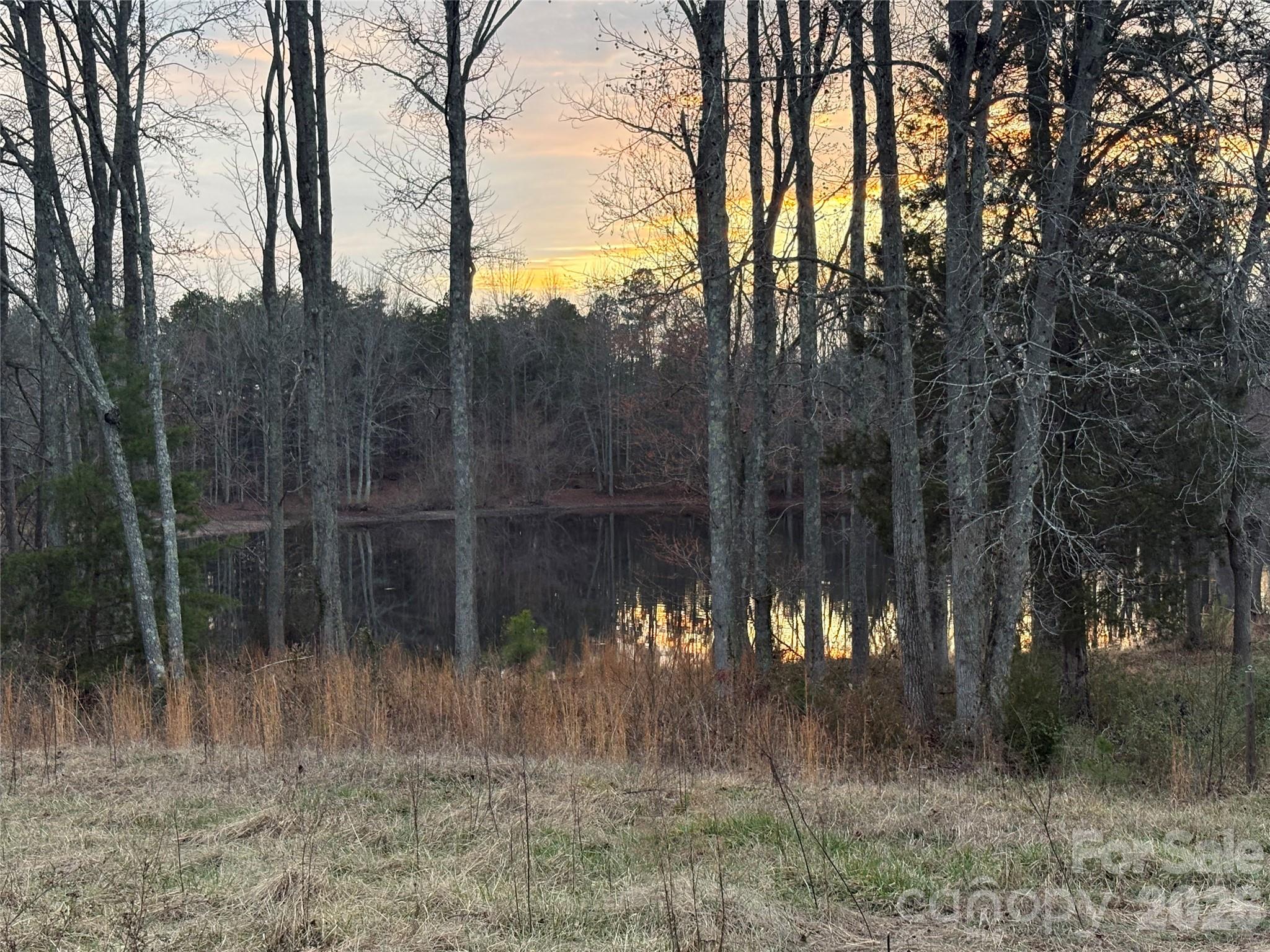 560 Fayette Road York, SC 29745 - Photo 9 of 17 a view of a lake in middle of forest